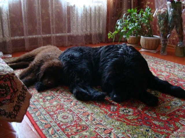 Фотография № 84130