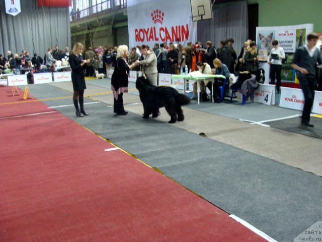 Фотография № 84134