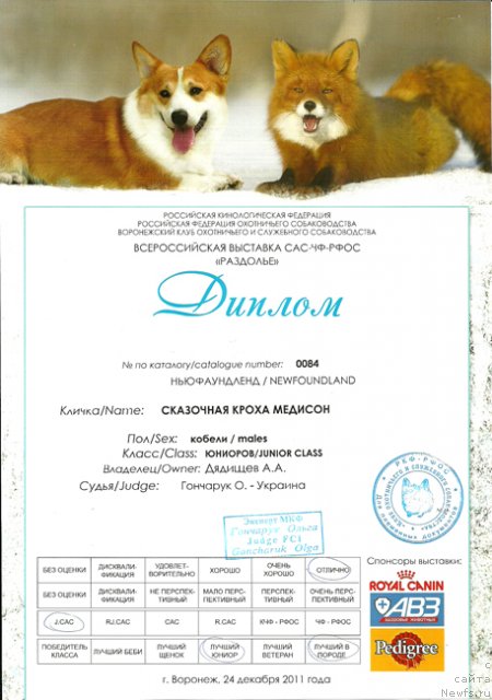 Фотография № 84138