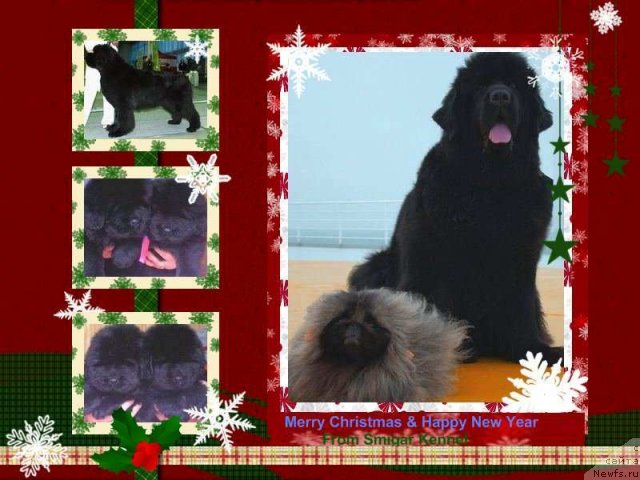 Фотография № 84151