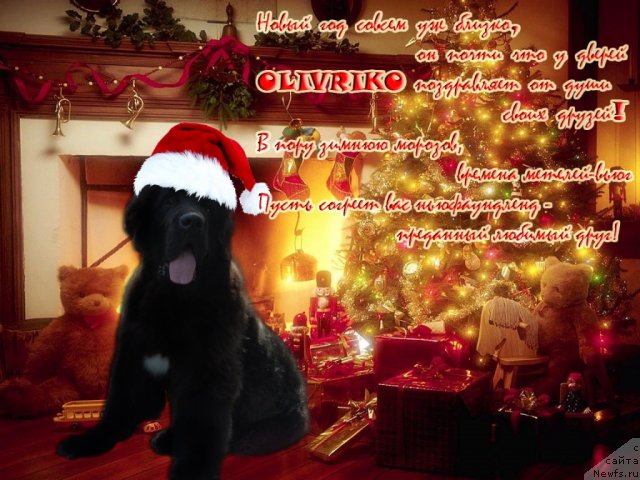 Фотография № 84159