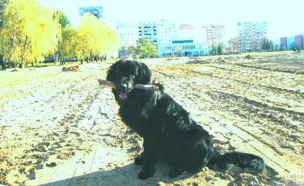 Фотография № 84163