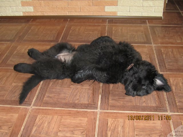 Фотография № 84166