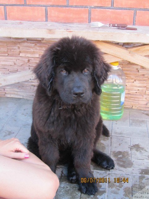 Фотография № 84169