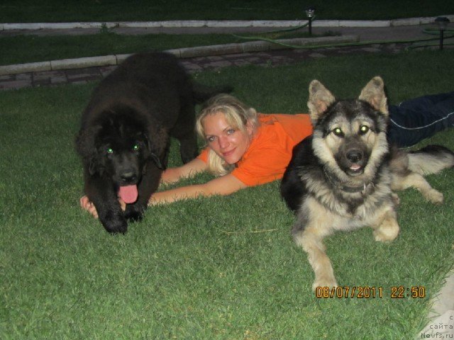 Фотография № 84172