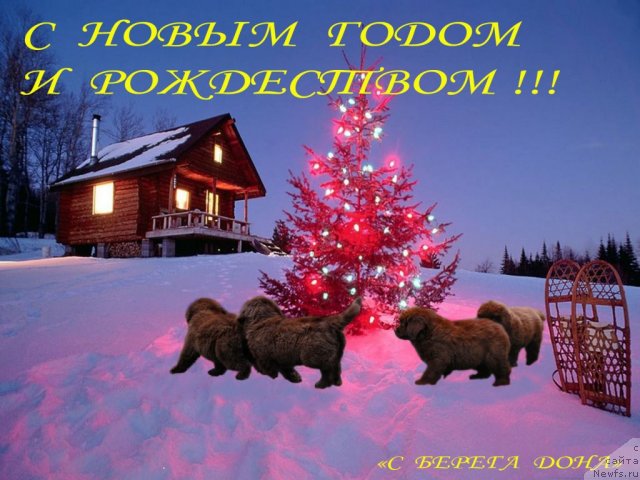 Фотография № 84175