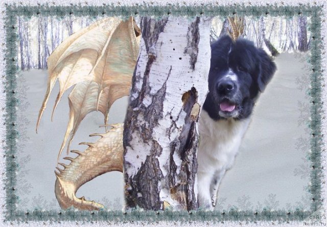 Фотография № 84178