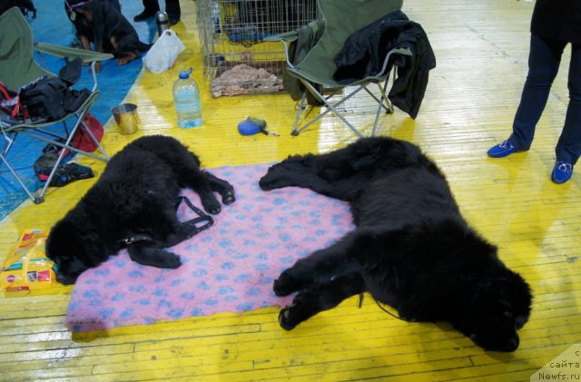 Фотография № 84197