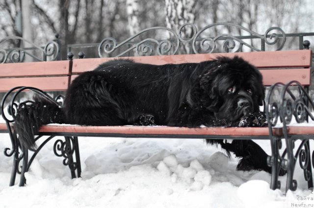 Фотография № 84207