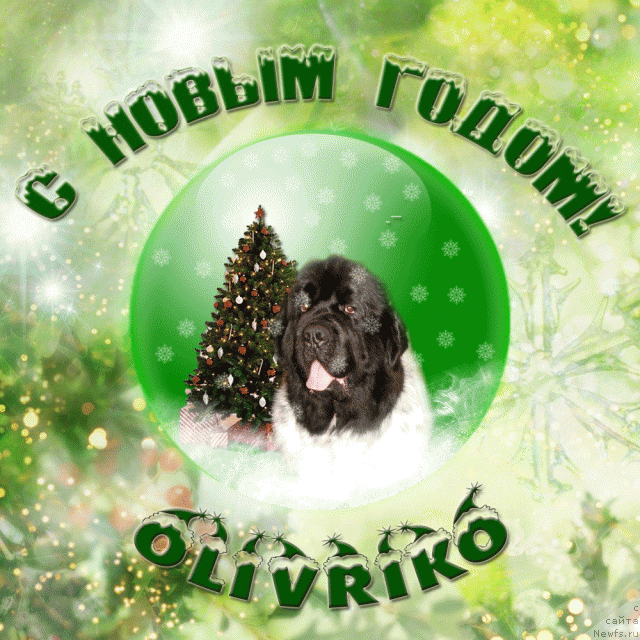 Фотография № 84213