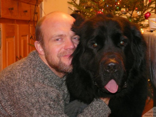 Фото: Sergey Tolstoy (Сергей Толстой), ньюфаундленд Kayra Rada (Кайра Рада)