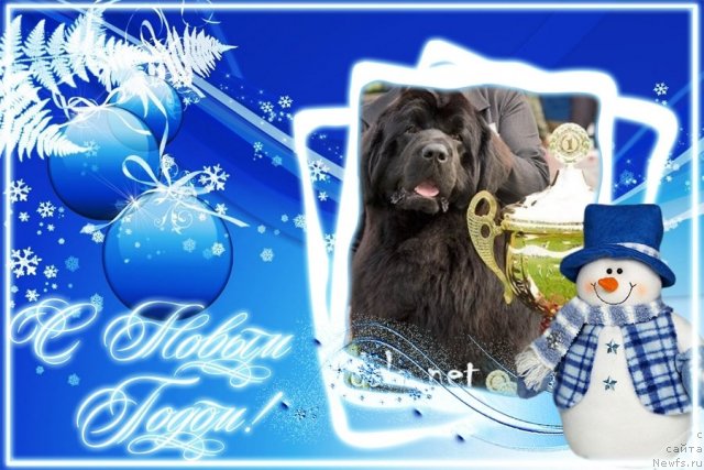 Фотография № 84258