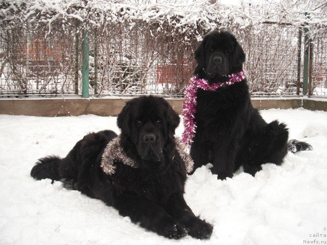 Фотография № 84291