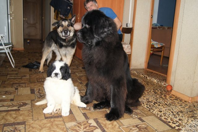 Фотография № 84320