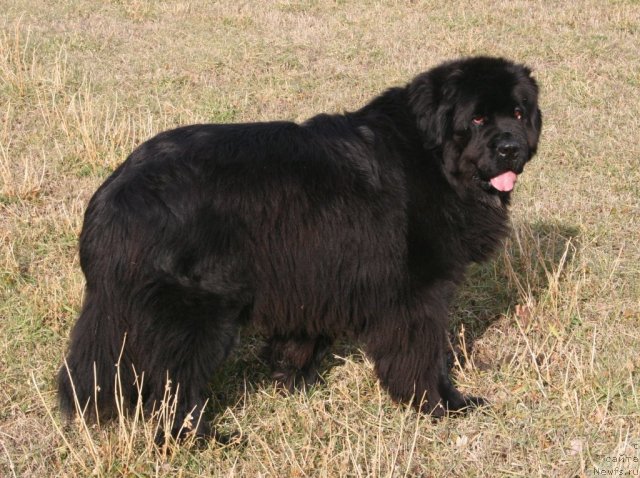 Фото: Margot (Mississippi Missouri friendly girl)