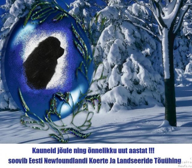 Фотография № 84350