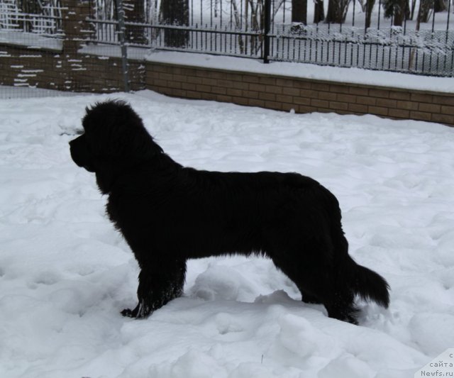 Фотография № 84351