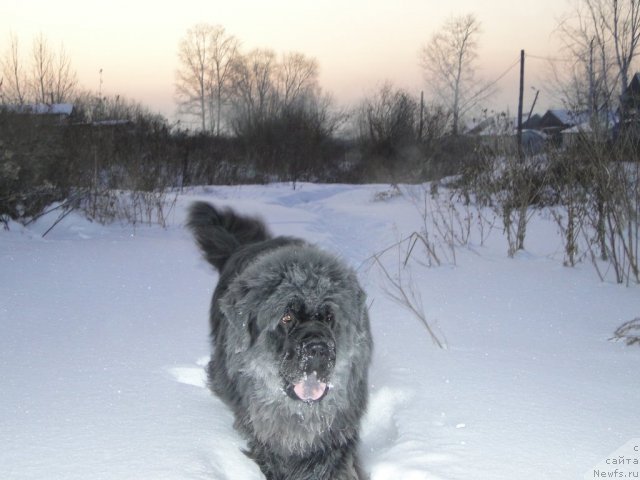 Фотография № 84380