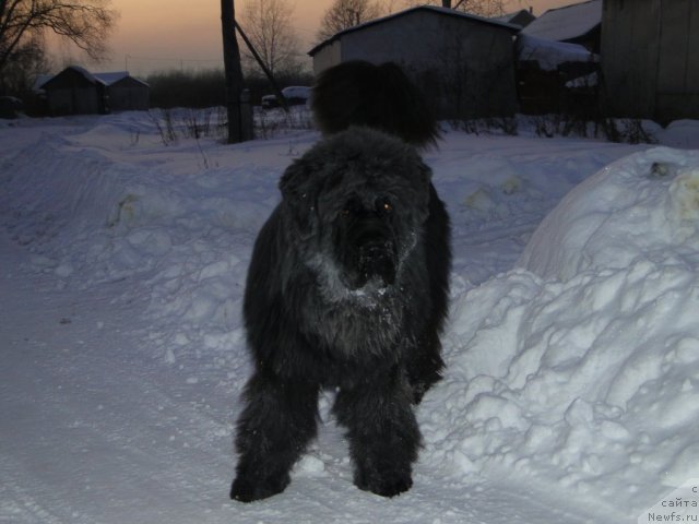 Фотография № 84382