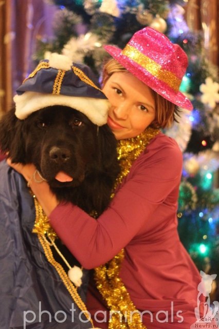 Фотография № 84391