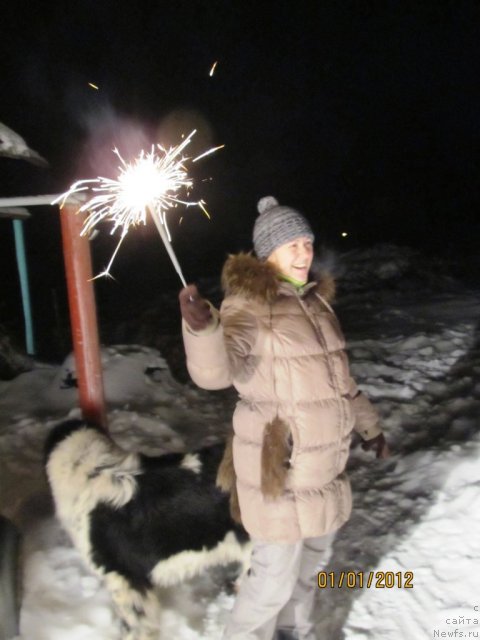 Фото: Irina Nistratova (Ирина Нистратова), ньюфаундленд Super Bizon Ekaterinburg (Супер Бизон Екатеринбург)