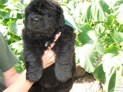 Фотография № 844