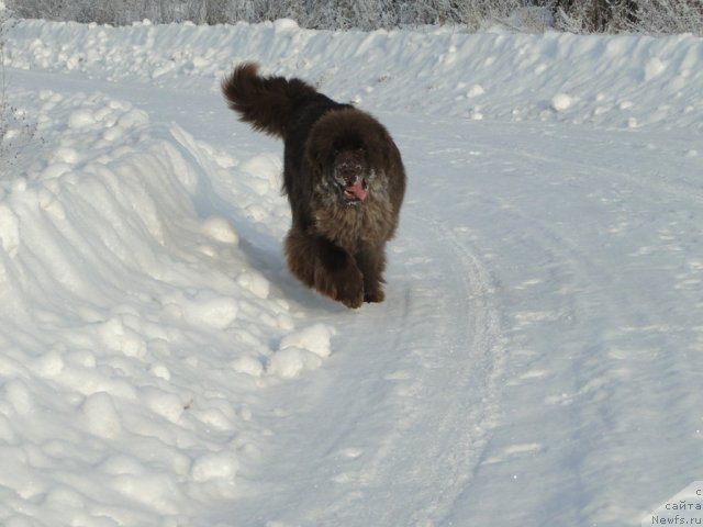 Фотография № 84416