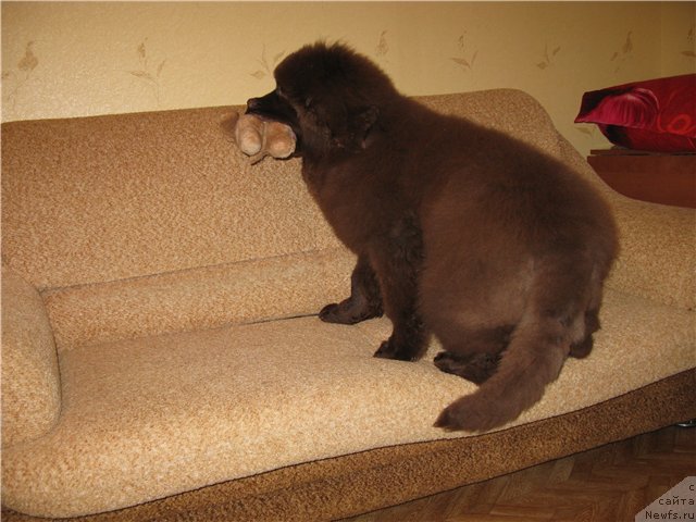 Фотография № 84445