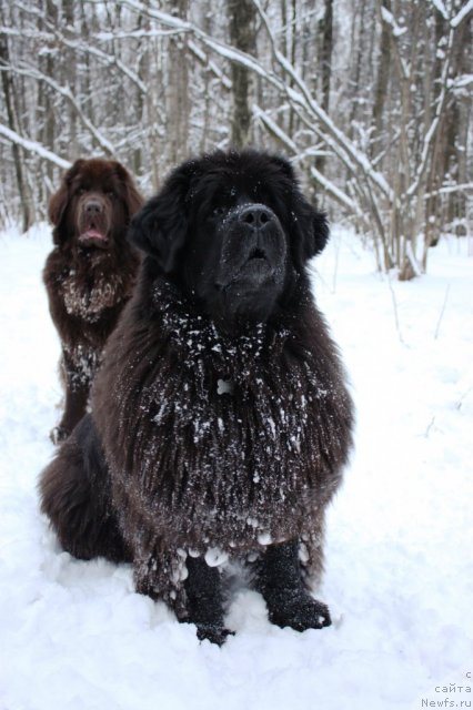 Фотография № 84452