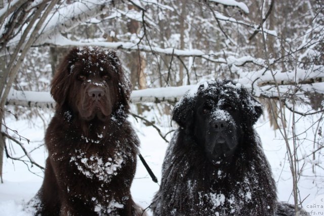 Фотография № 84453