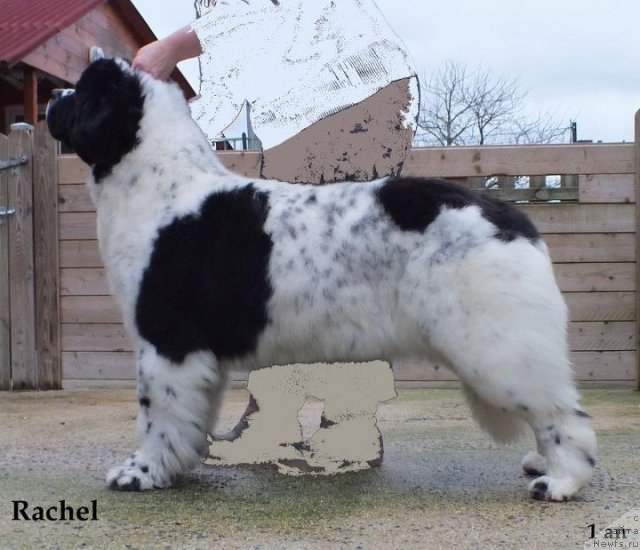 Фотография № 84454