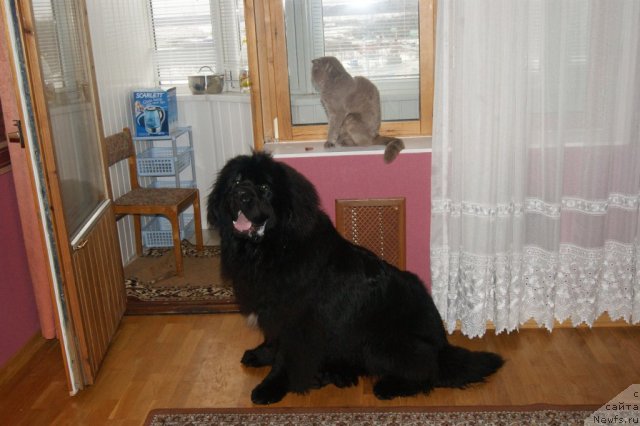 Фото: Vladimir Babaryikin (Владимир Бабарыкин)