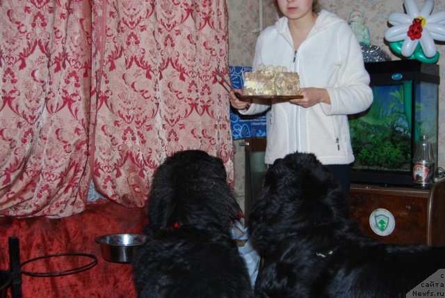 Фотография № 84464