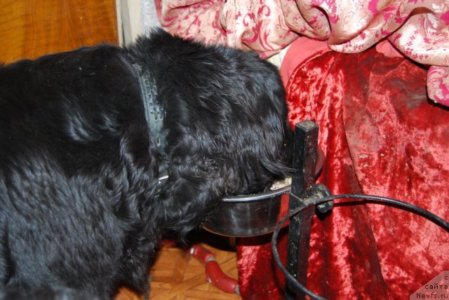 Фотография № 84465