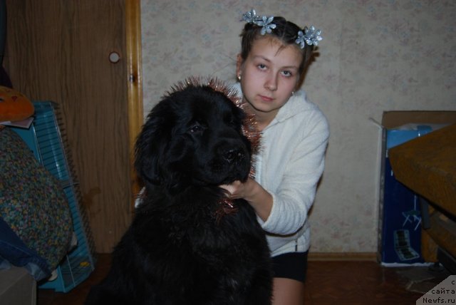 Фотография № 84469