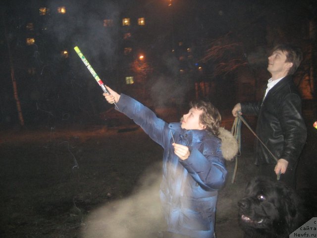 Фотография № 84495