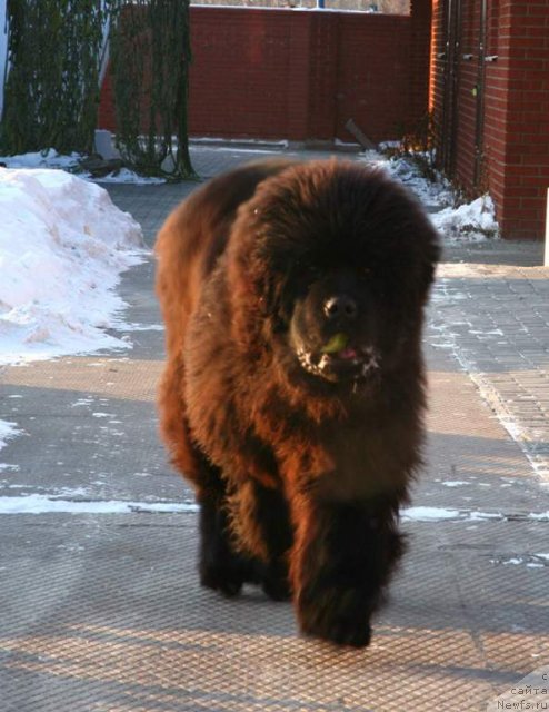 Фотография № 84504