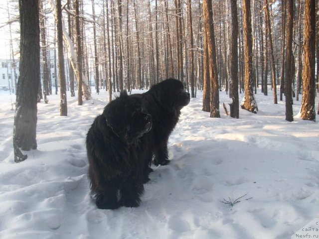 Фотография № 84593