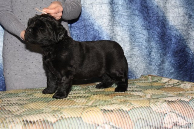 Фото: Розовая девочка