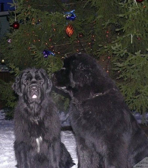 Фотография № 84607