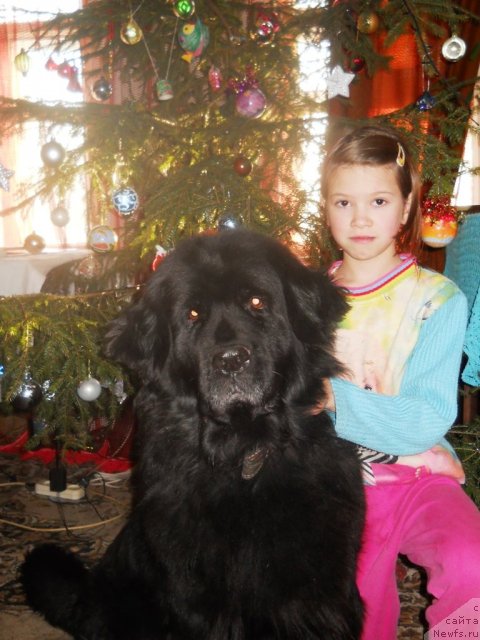 Фотография № 84646