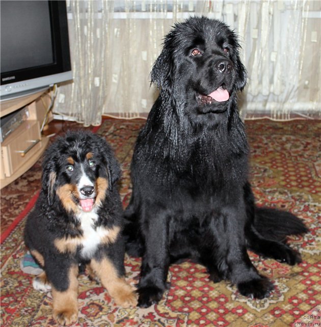 Фотография № 84673