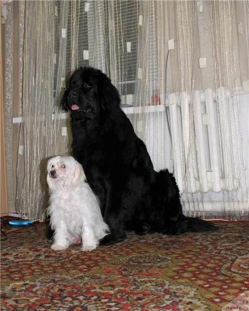 Фотография № 84676