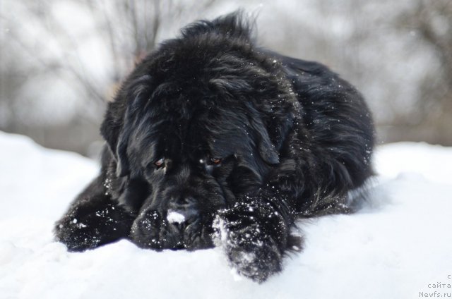 Фотография № 84680