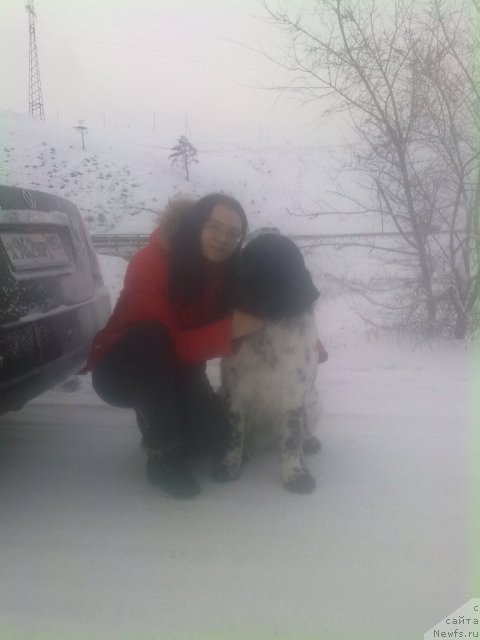 Фотография № 84695