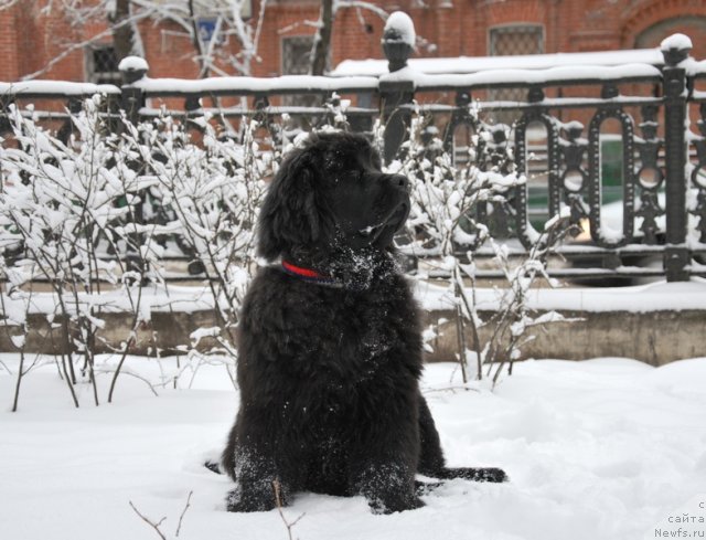 Фотография № 84696