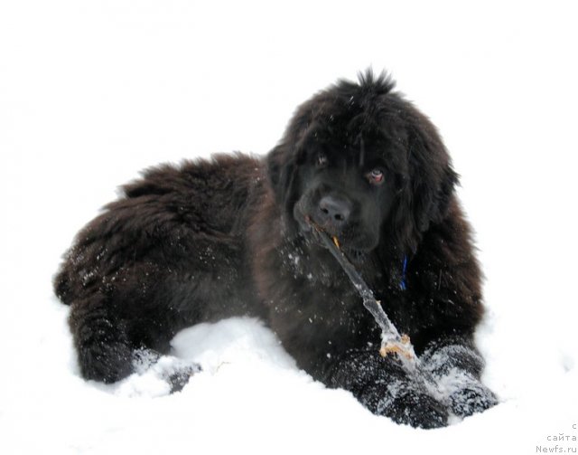 Фотография № 84698