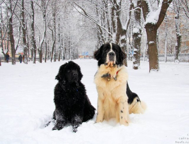 Фотография № 84699