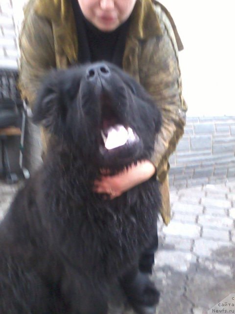 Фотография № 84707