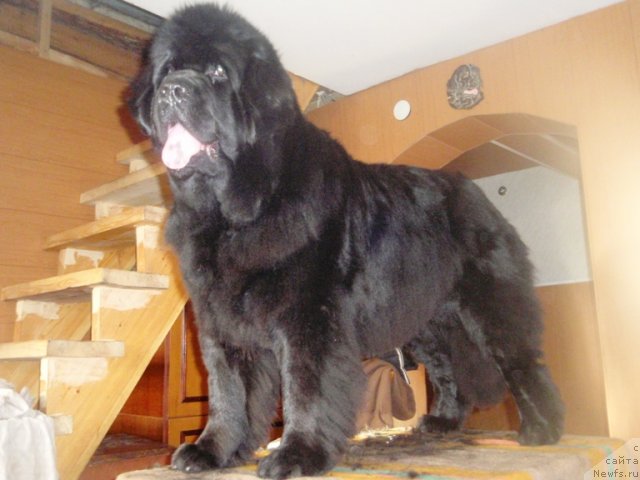 Фотография № 84722